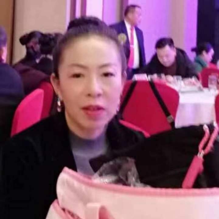中秋桂花玉兔的第四张照片--长泰相亲网