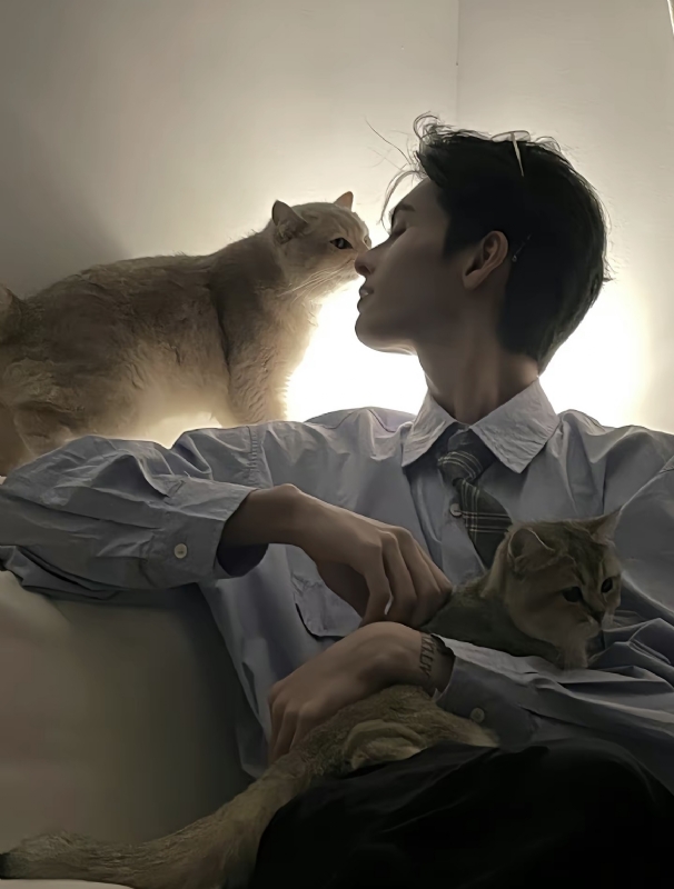 怪猫的第一张照片--长泰相亲网
